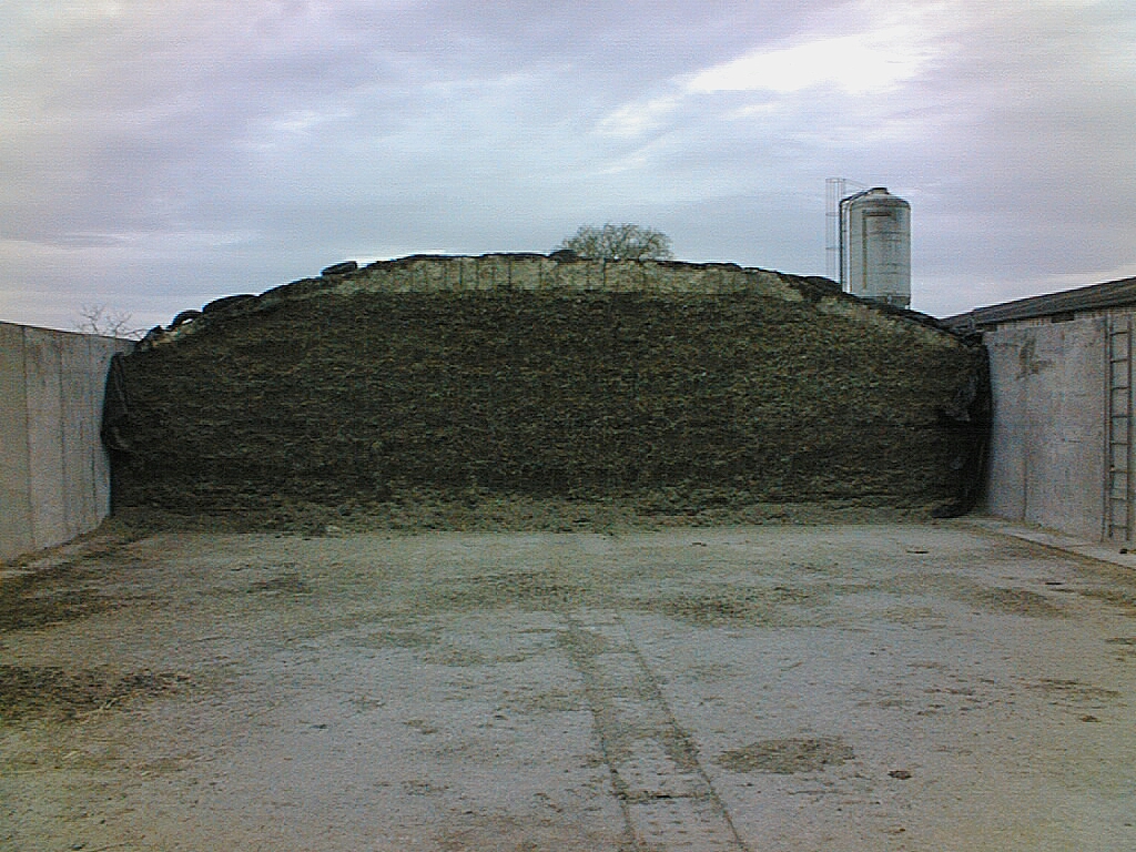 Silo de mas recouvert de pulpe de pomme de terre